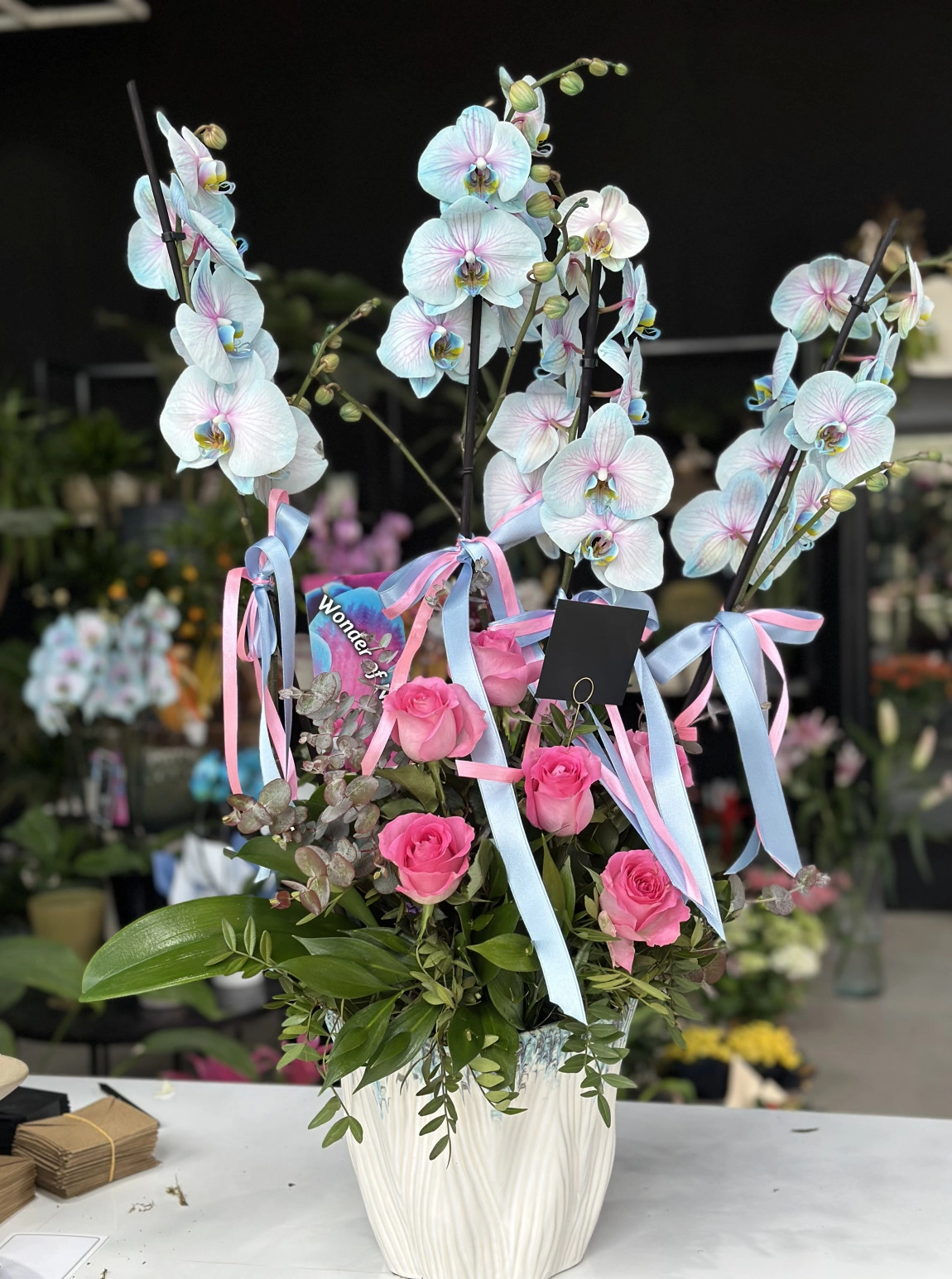 Blue Orchid