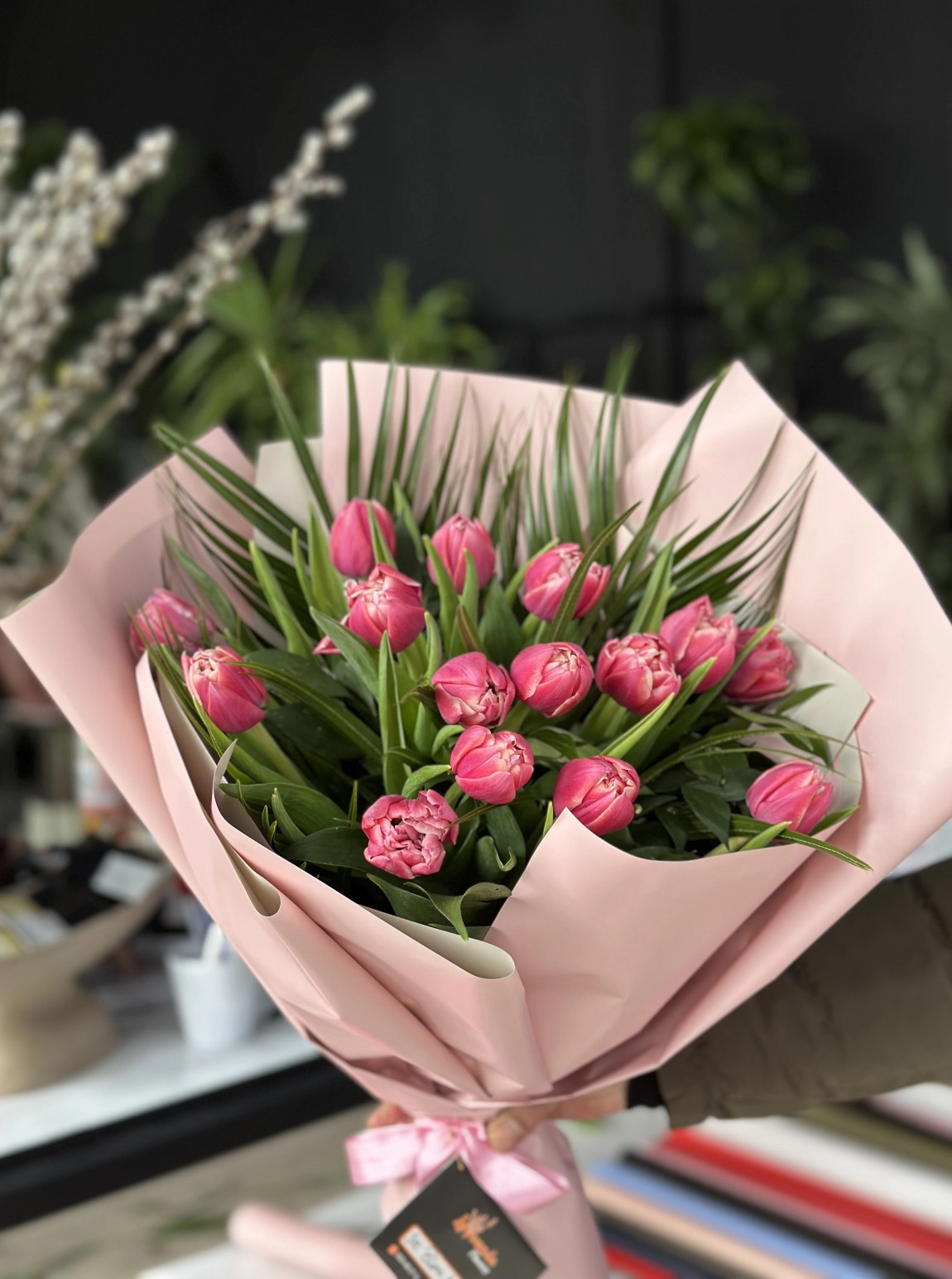 Blush Tulip Dream