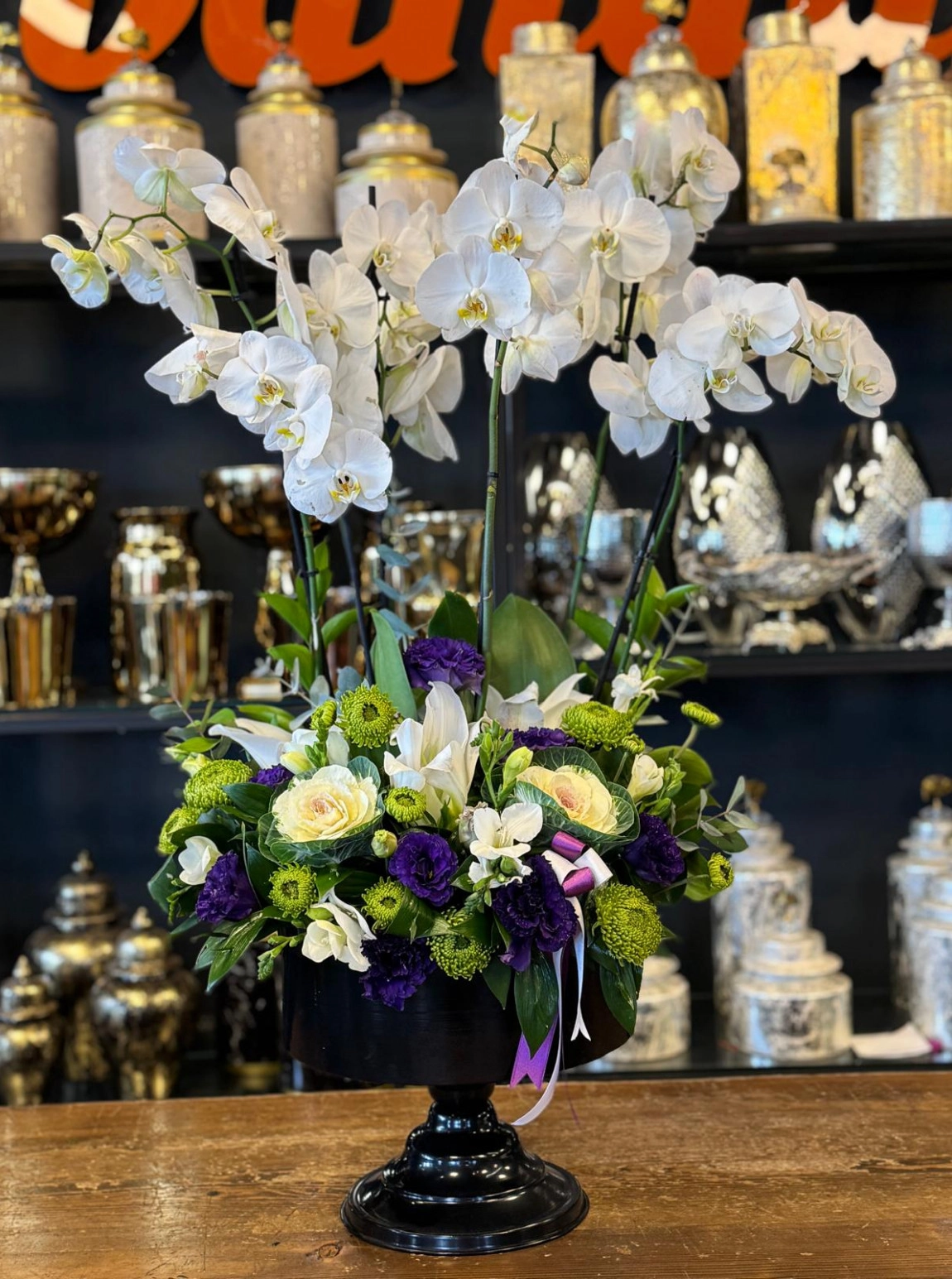 Elegant White Orchid