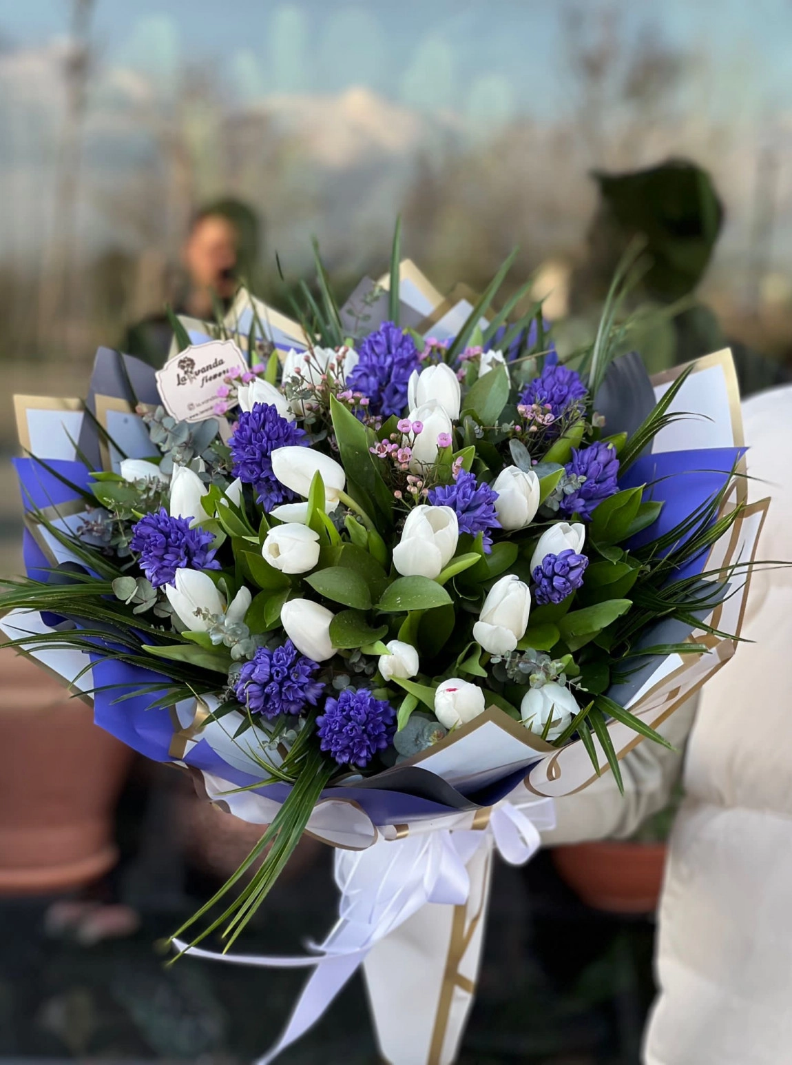Hyacinth Dream Bouquet