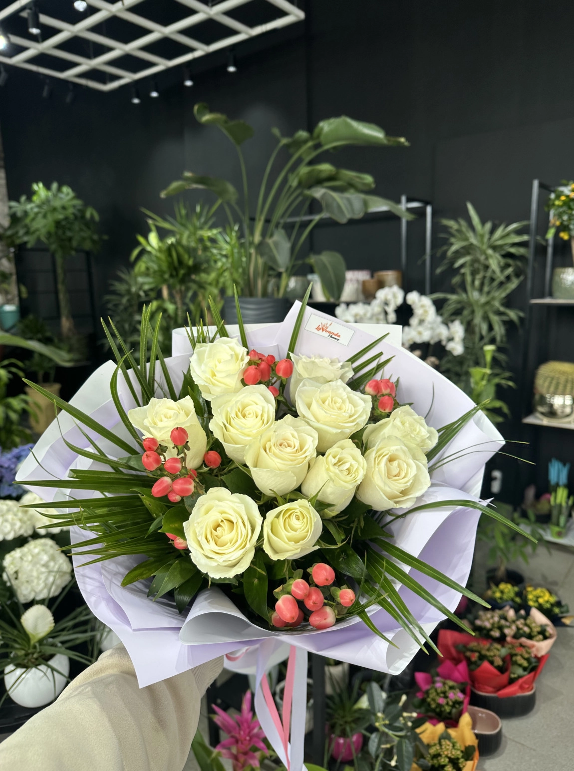 Pure Eleven Roses