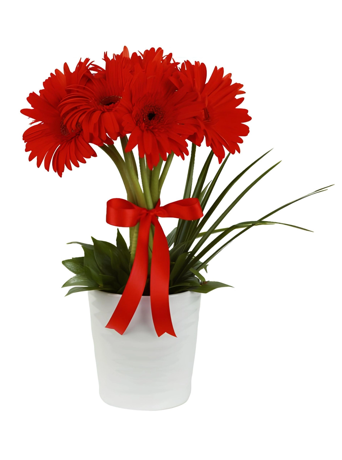 Saksıda Aşkın Ateşi