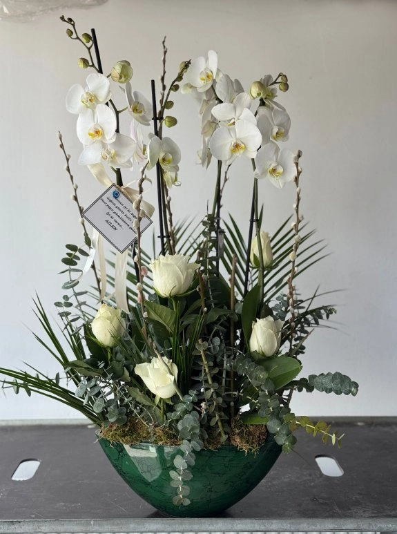 Four Orchid Luxury