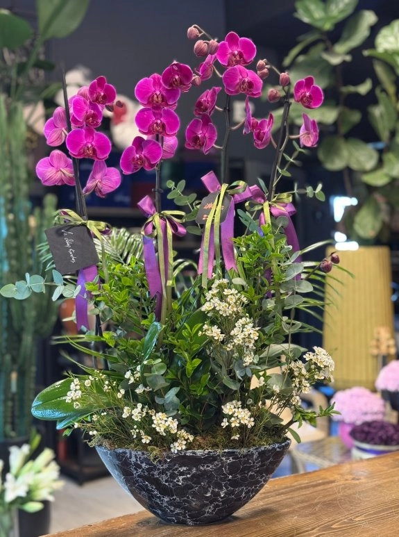 Fuchsia Orchid Deluxe