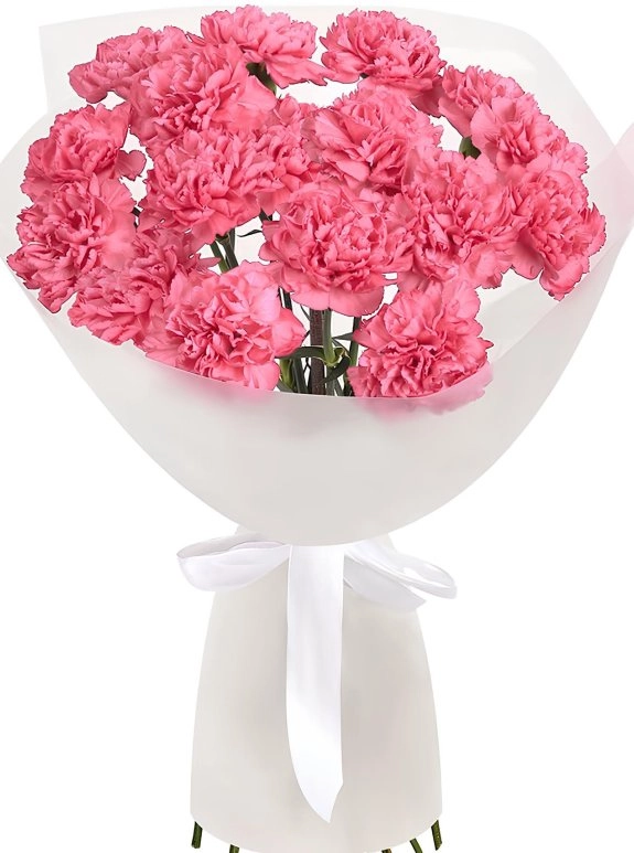 Pembe Karanfil Buketi