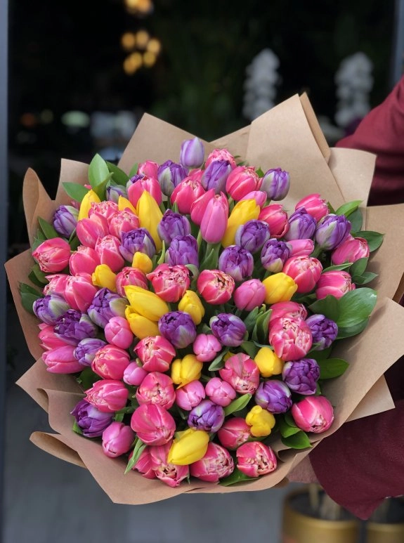 Rainbow Tulips