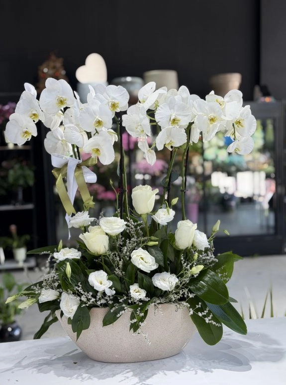 White Orchid Arrangement